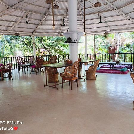 مادريم Jamboree Creek Yoga المظهر الخارجي الصورة