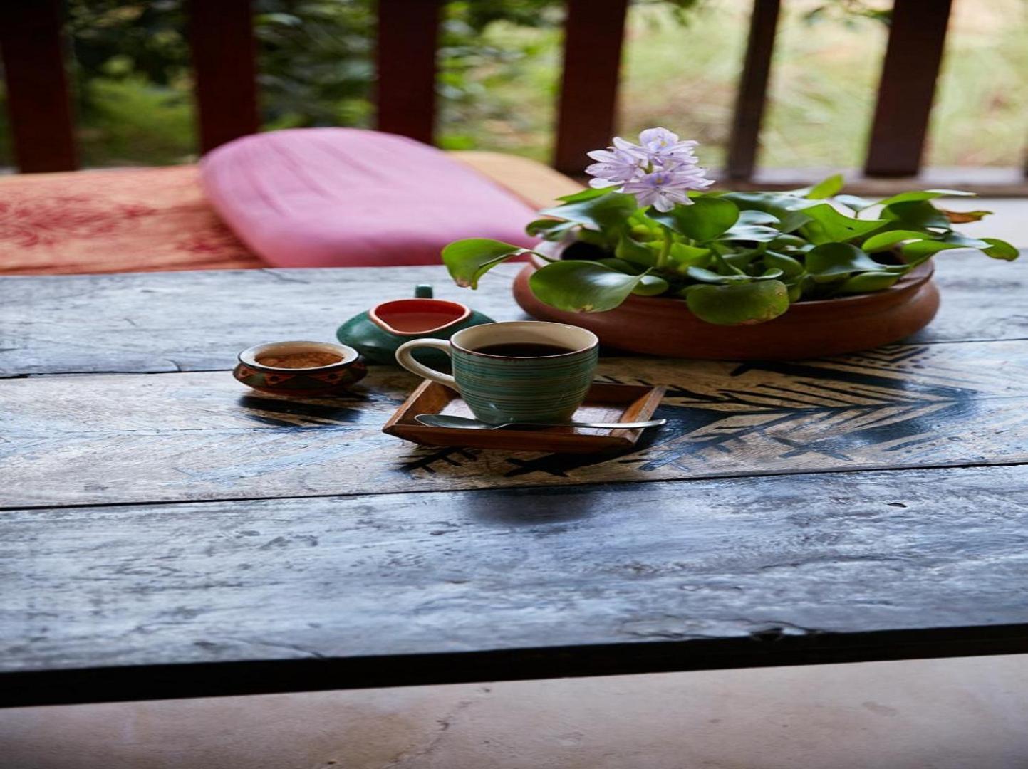 مادريم Jamboree Creek Yoga المظهر الخارجي الصورة
