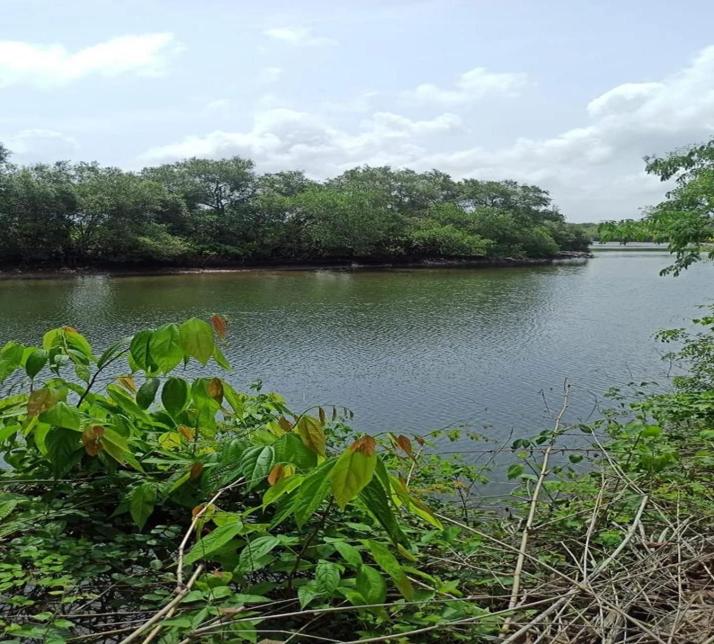 مادريم Jamboree Creek Yoga المظهر الخارجي الصورة