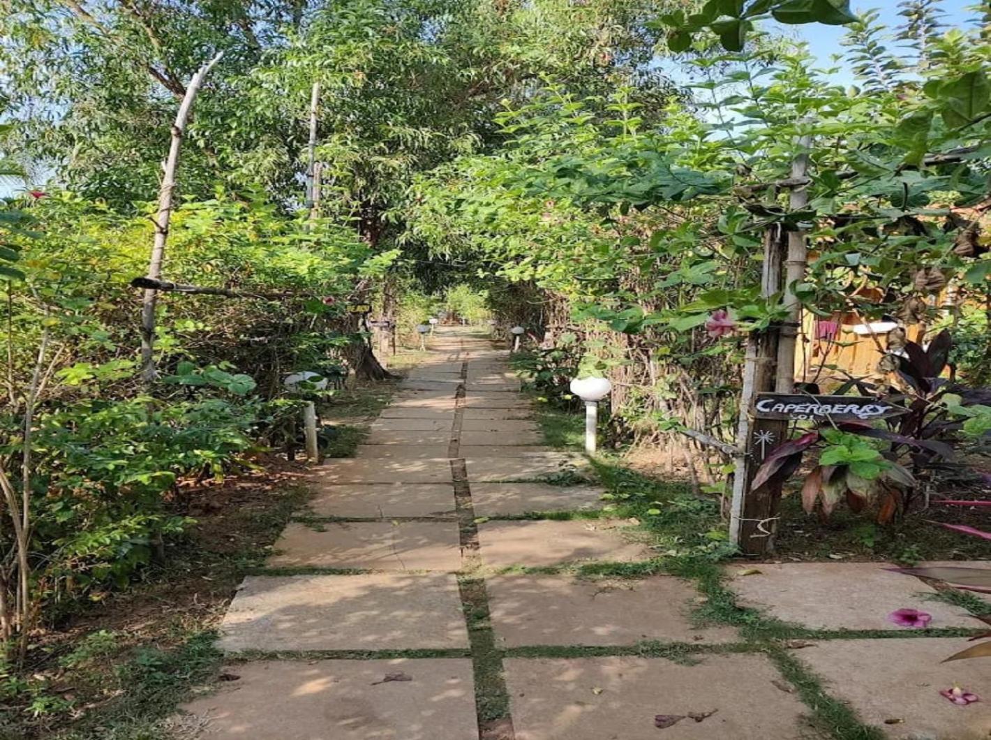 مادريم Jamboree Creek Yoga المظهر الخارجي الصورة