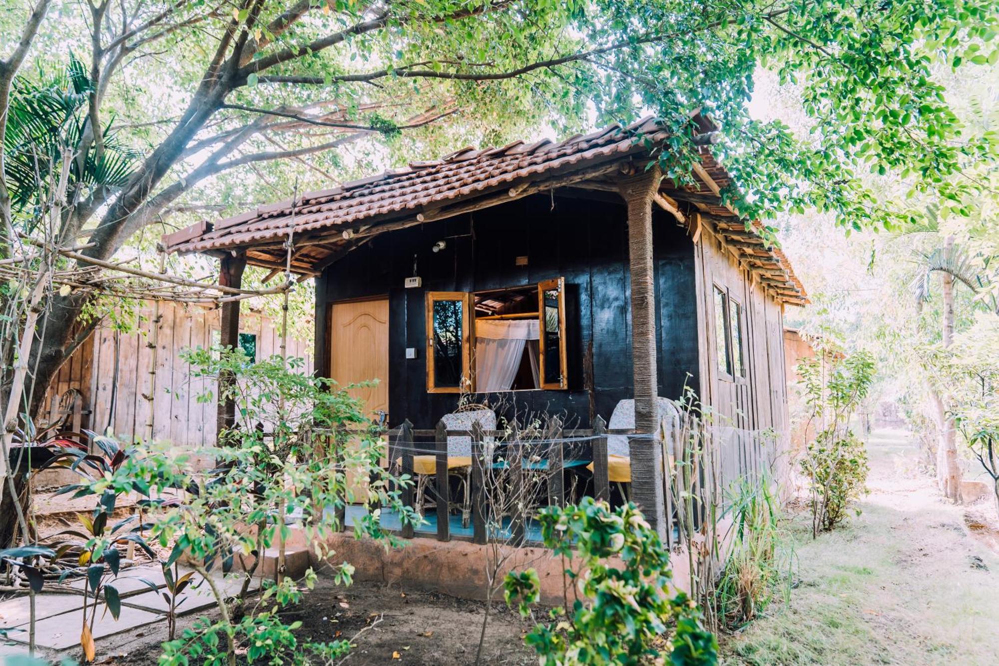 مادريم Jamboree Creek Yoga المظهر الخارجي الصورة