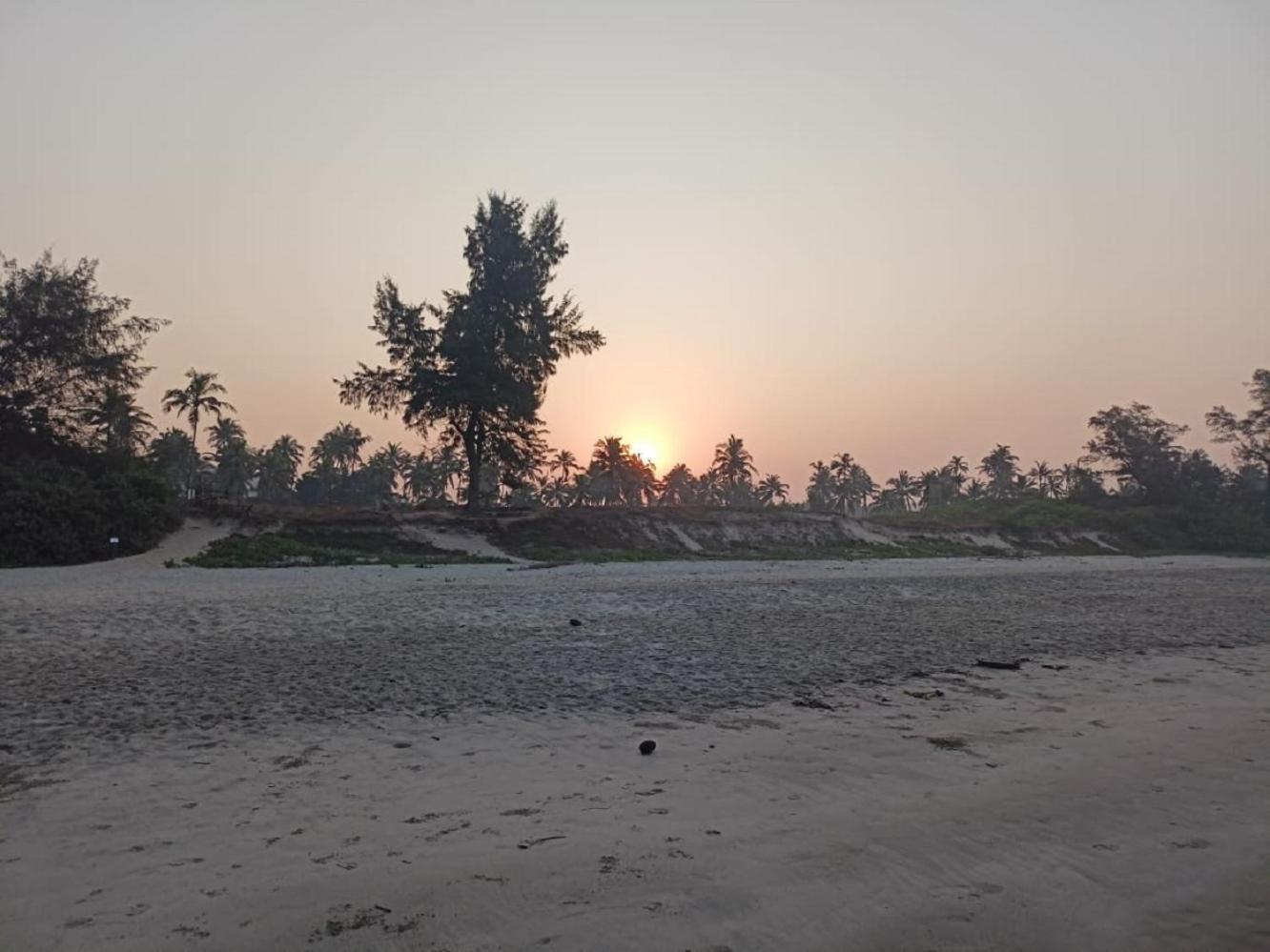 مادريم Jamboree Creek Yoga المظهر الخارجي الصورة