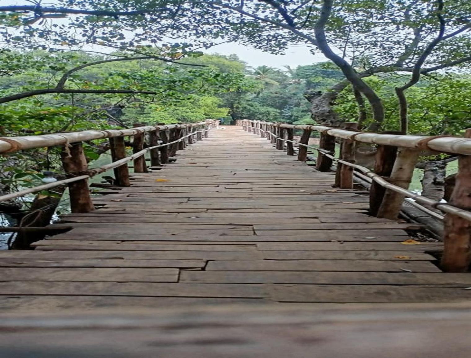 مادريم Jamboree Creek Yoga المظهر الخارجي الصورة