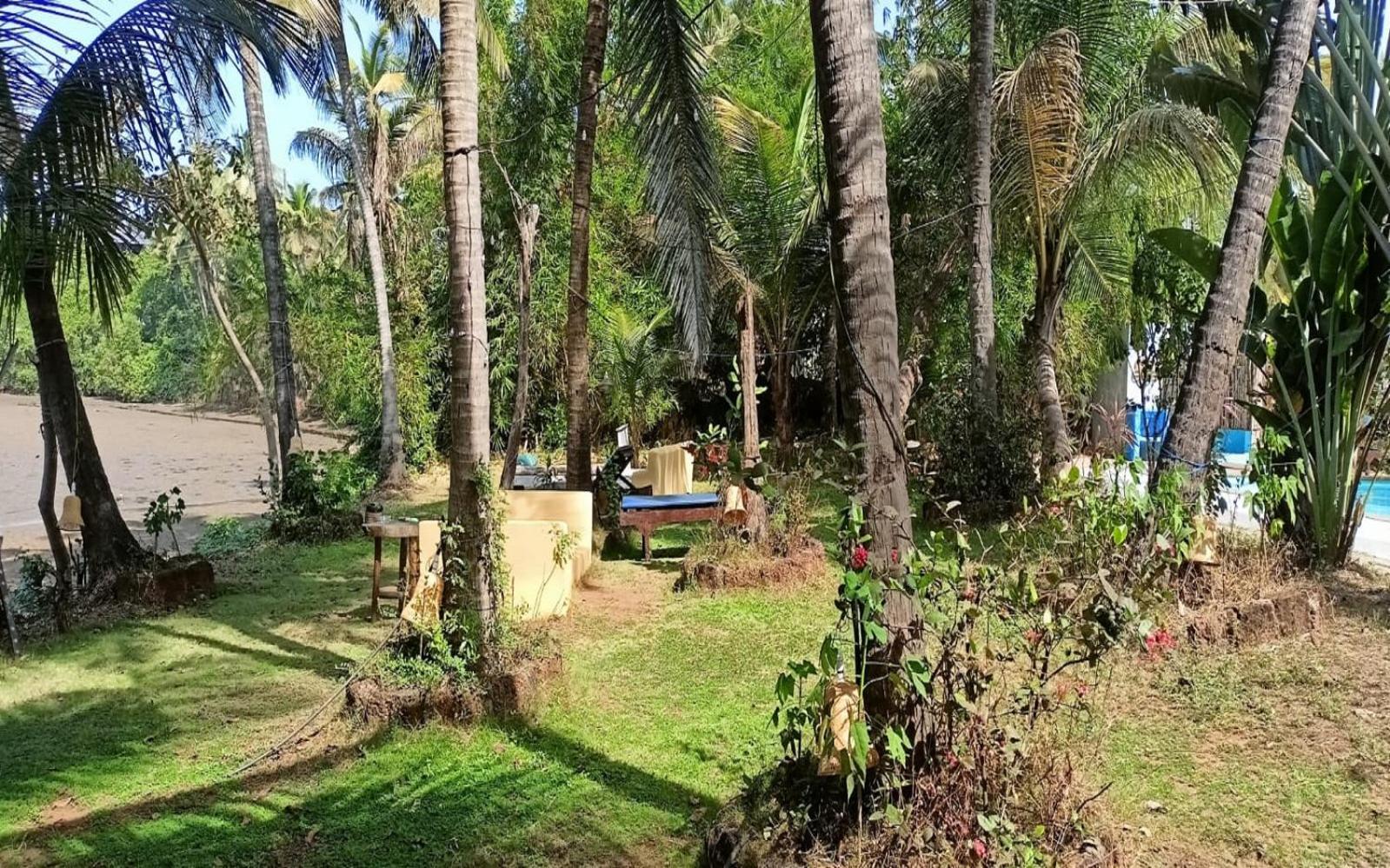 مادريم Jamboree Creek Yoga المظهر الخارجي الصورة
