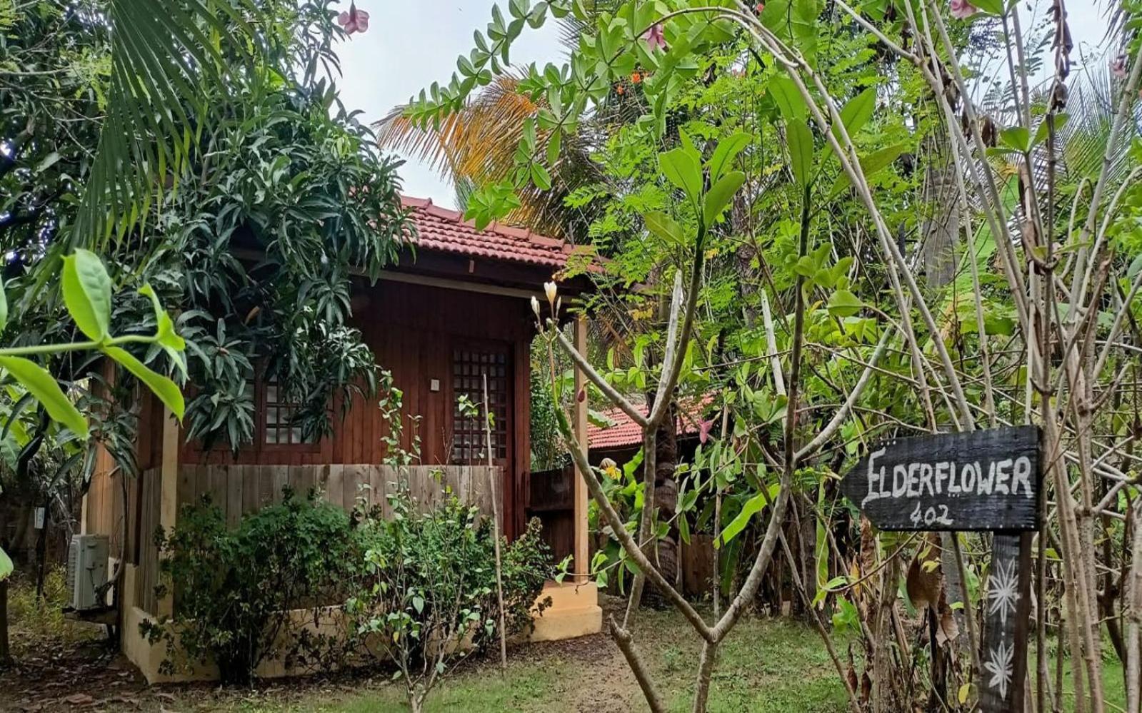 مادريم Jamboree Creek Yoga المظهر الخارجي الصورة