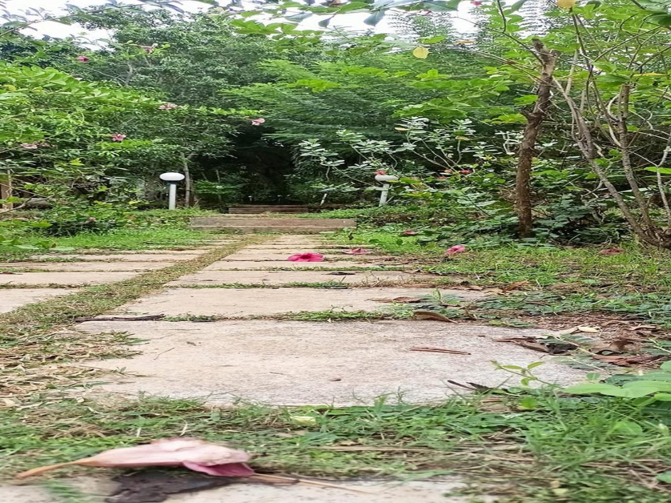 مادريم Jamboree Creek Yoga المظهر الخارجي الصورة