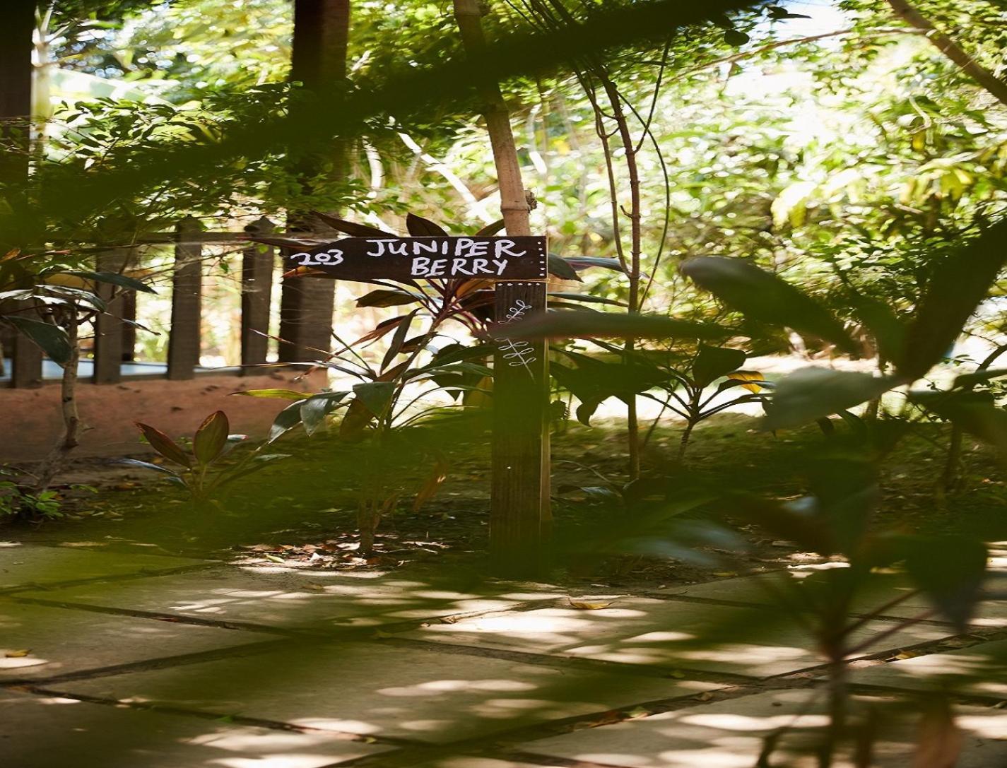 مادريم Jamboree Creek Yoga المظهر الخارجي الصورة