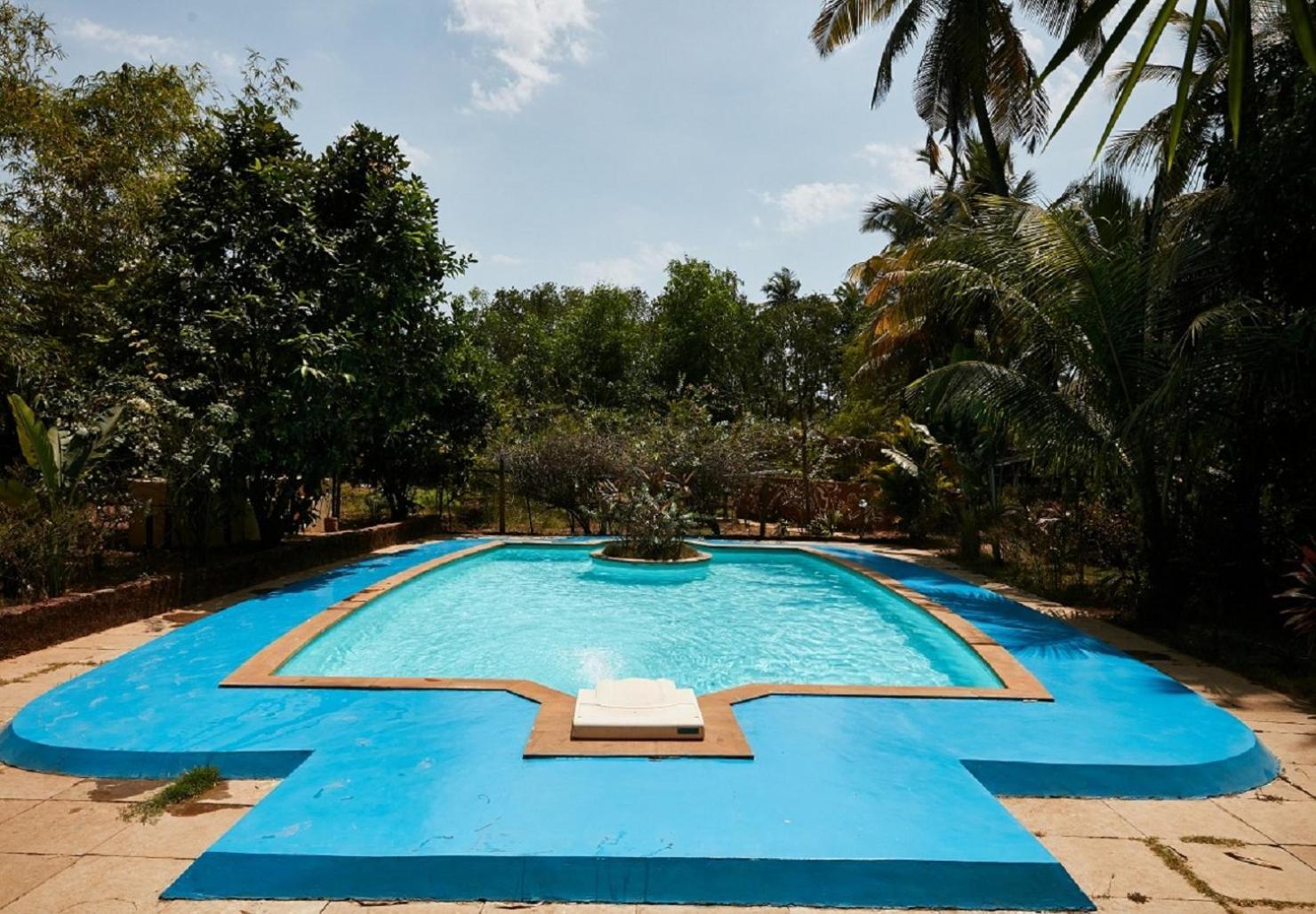 مادريم Jamboree Creek Yoga المظهر الخارجي الصورة