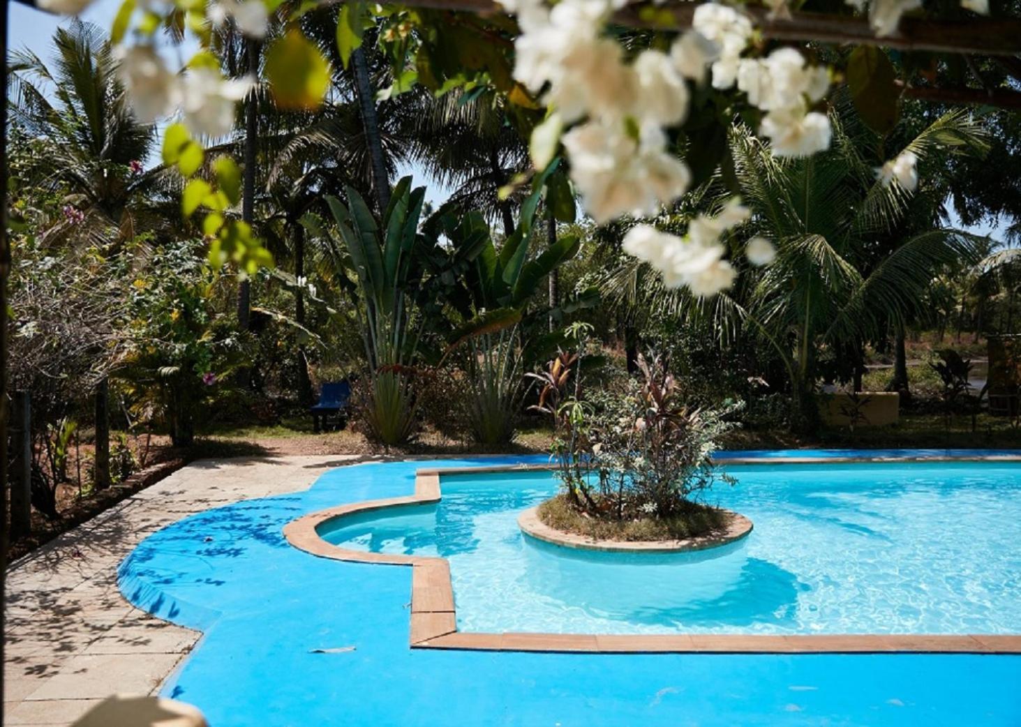 مادريم Jamboree Creek Yoga المظهر الخارجي الصورة